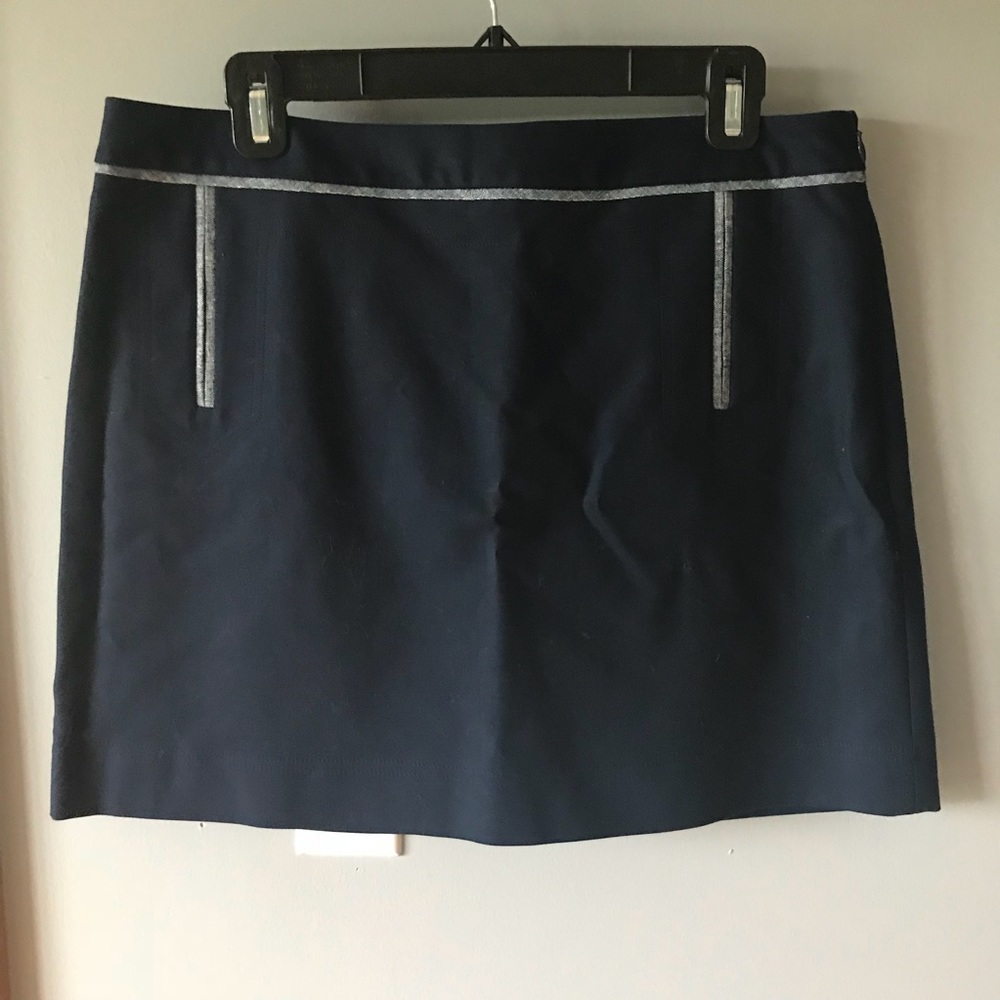 The Limited Navy skirt